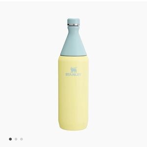 Stanley All Day Slim Bottle